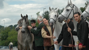 2007 KRONE Ravensburg Hengste